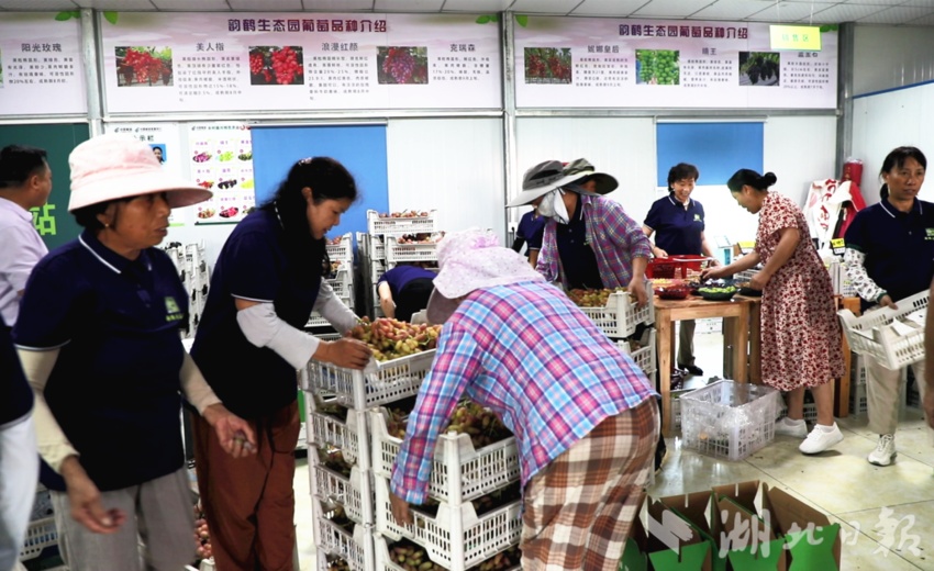 网赌跳槽网址